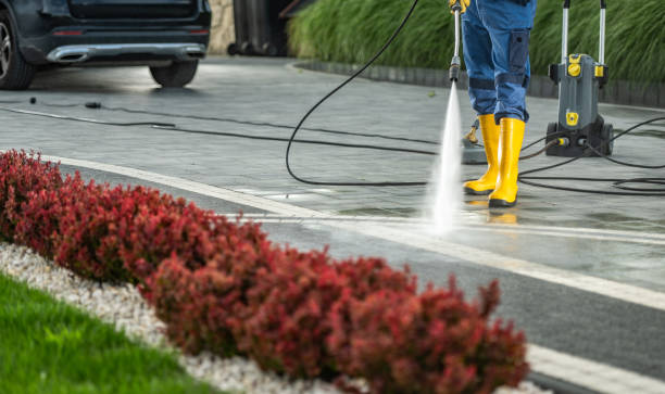 Best Building Exterior Washing  in Greensboro, MD