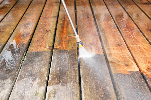 Best Driveway Pressure Washing  in Greensboro, MD